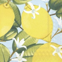 Pack of 20 3 ply Lunch napkins