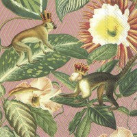 Pack of 20 3 ply Lunch napkins