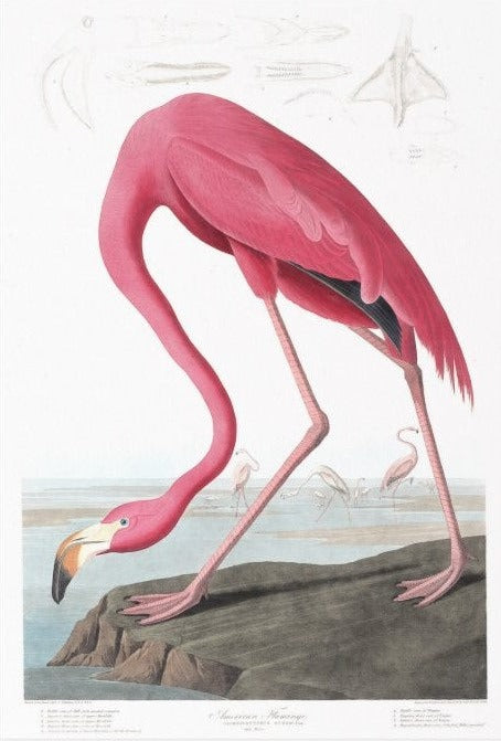 Heavy Weight Decoupage Paper