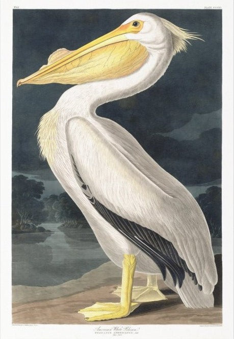 Heavy Weight Decoupage Paper