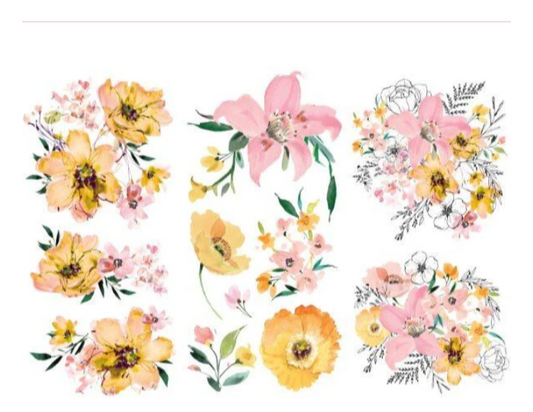 Redesign with Prima Transfer