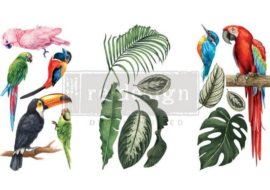 Redesign with Prima Transfer