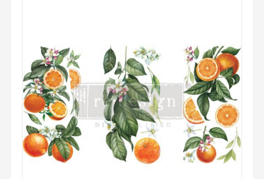 Citrus Slice Transfer