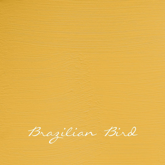 Vintage Brazilian Bird - Autentico Paint UK