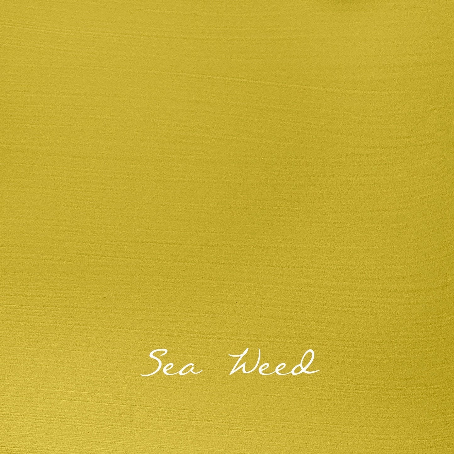 Vintage Sea Weed - Autentico Paint UK