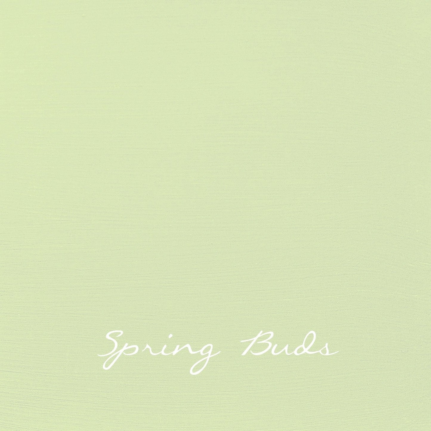 Vintage Spring Buds - Autentico Paint UK