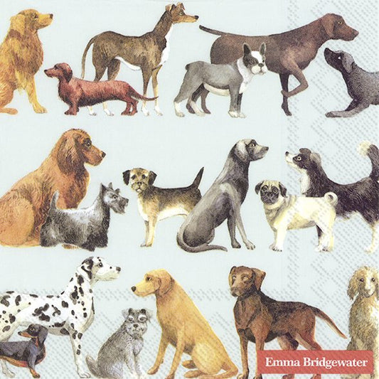Pack of 20 3 ply Lunch napkins