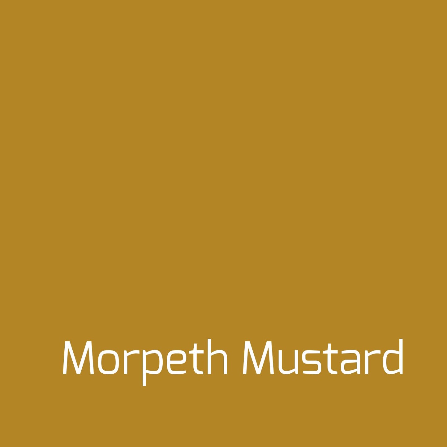 Autentico Versante Eggshell Colour Morpeth Mustard - Autentico Paint UK