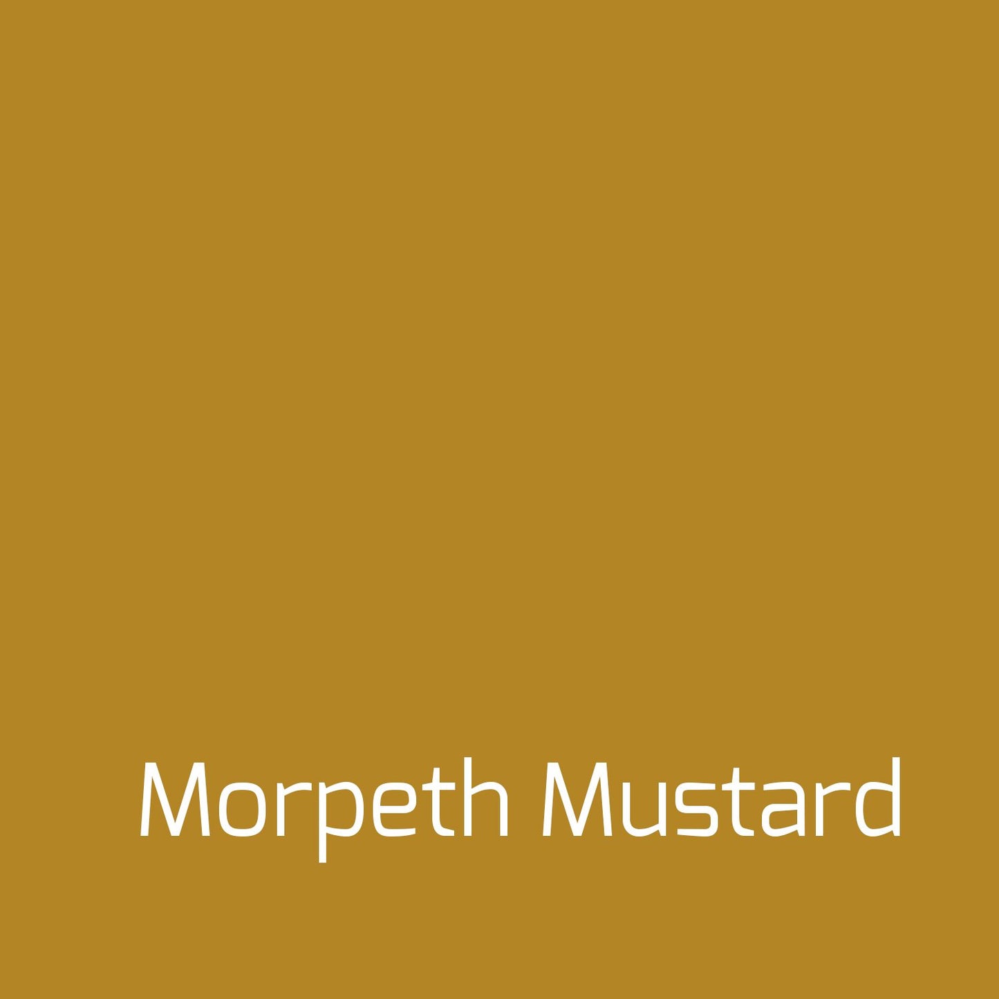 Autentico Versante Matt Colour Morpeth Mustard - Autentico Paint UK