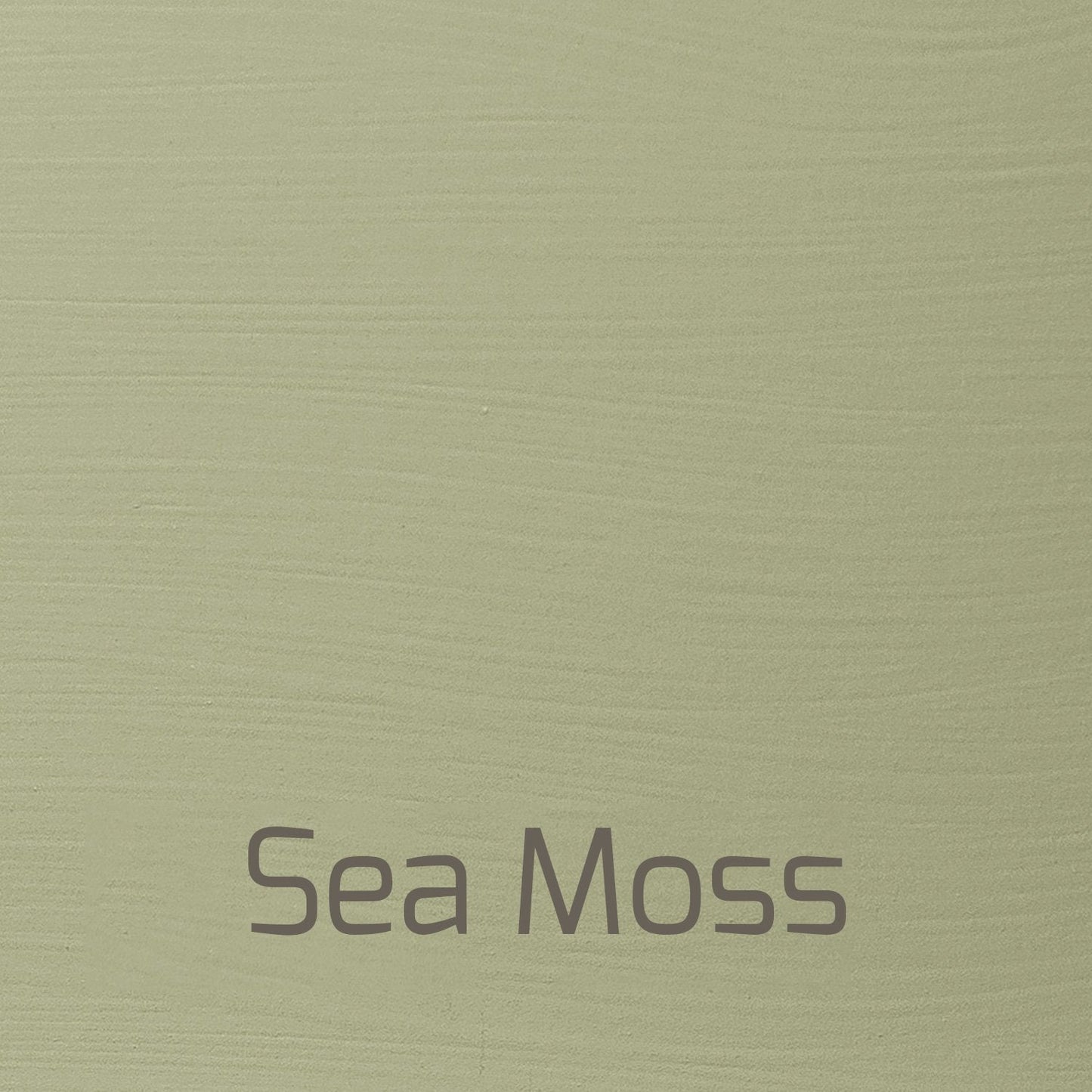 Autentico Versante Matt, colour Sea Moss - Autentico Paint UK