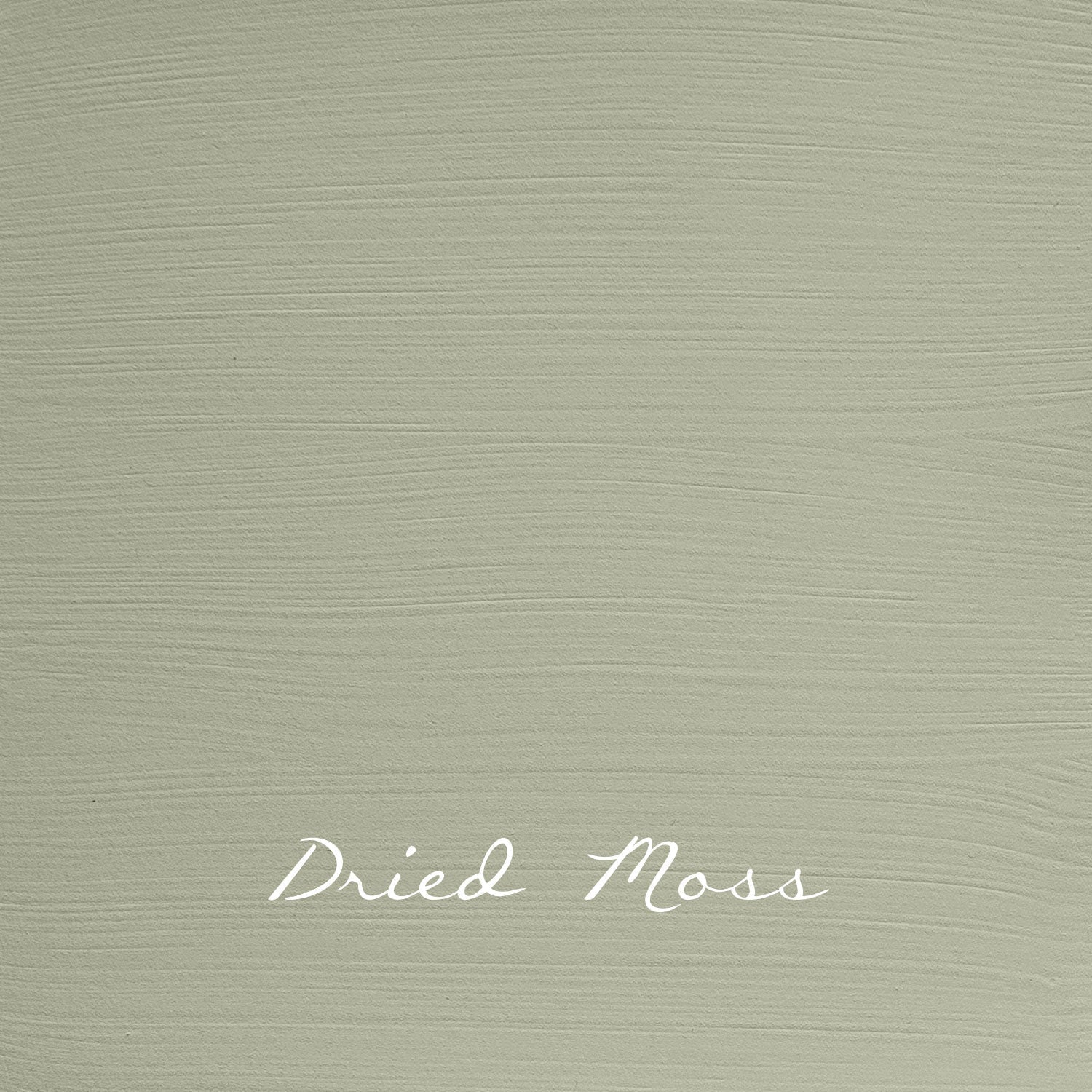 Vintage Dried Moss - Autentico Paint UK