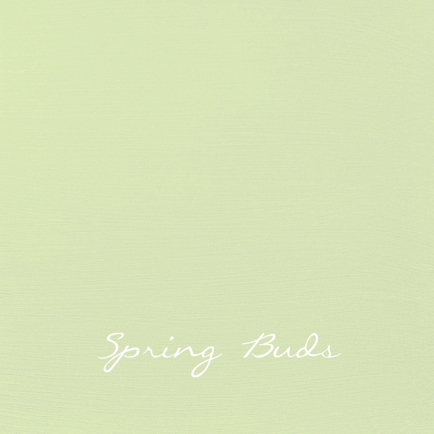 Vintage Spring Buds - Autentico Paint UK